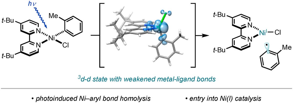 Excitation of Ni-photoredox intermediates generates d-d states that can form Ni(I) via Ni-aryl homolysis. Read more about this work from @PrincetonChem @NCStateChem @BioLECEFRC: acspubs.co/k30S30qovQA