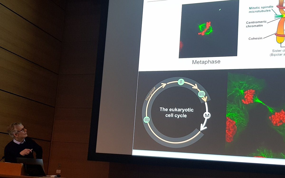 rli22's tweet photo. First our keynote #DavidBarford @MRC_LMB exciting structural studies of the anaphase promoting complex #APC incredibly high resolution maps, stunning detail of components & how they change in complex w each other. #substraterecognition #degrons #ubiquitination #E2 #E3ligase https://t.co/HEEk53sasJ