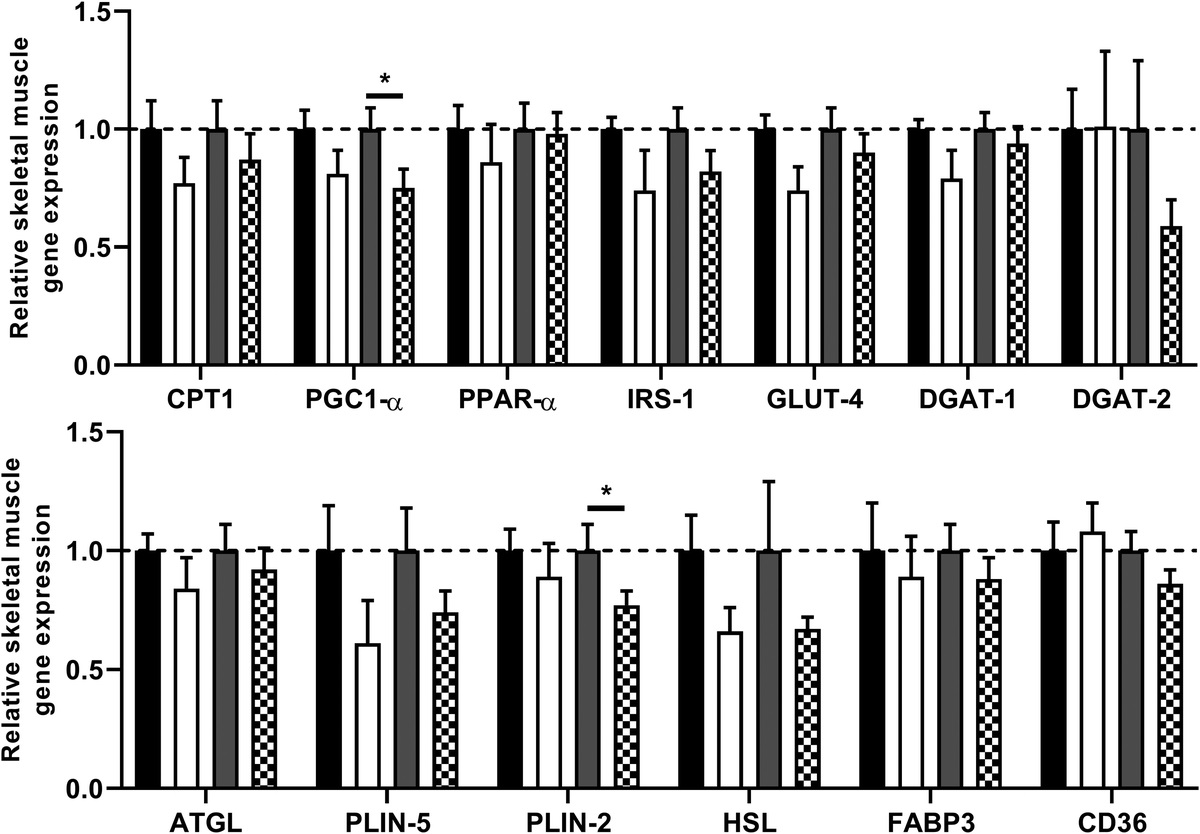 MSSEonline's tweet image. Endurance exercise in the fasted or fed state do not differ in efficacy to ⬇️ fat mass, ⬆️ fat oxidation capacity &amp;amp; ⬆️ cardioresp. fitness &amp;amp; high-density lipoprotein concentrations or their risk of hypoglycemia in male patients with T2 diabetes. ow.ly/IMAH50yqsig