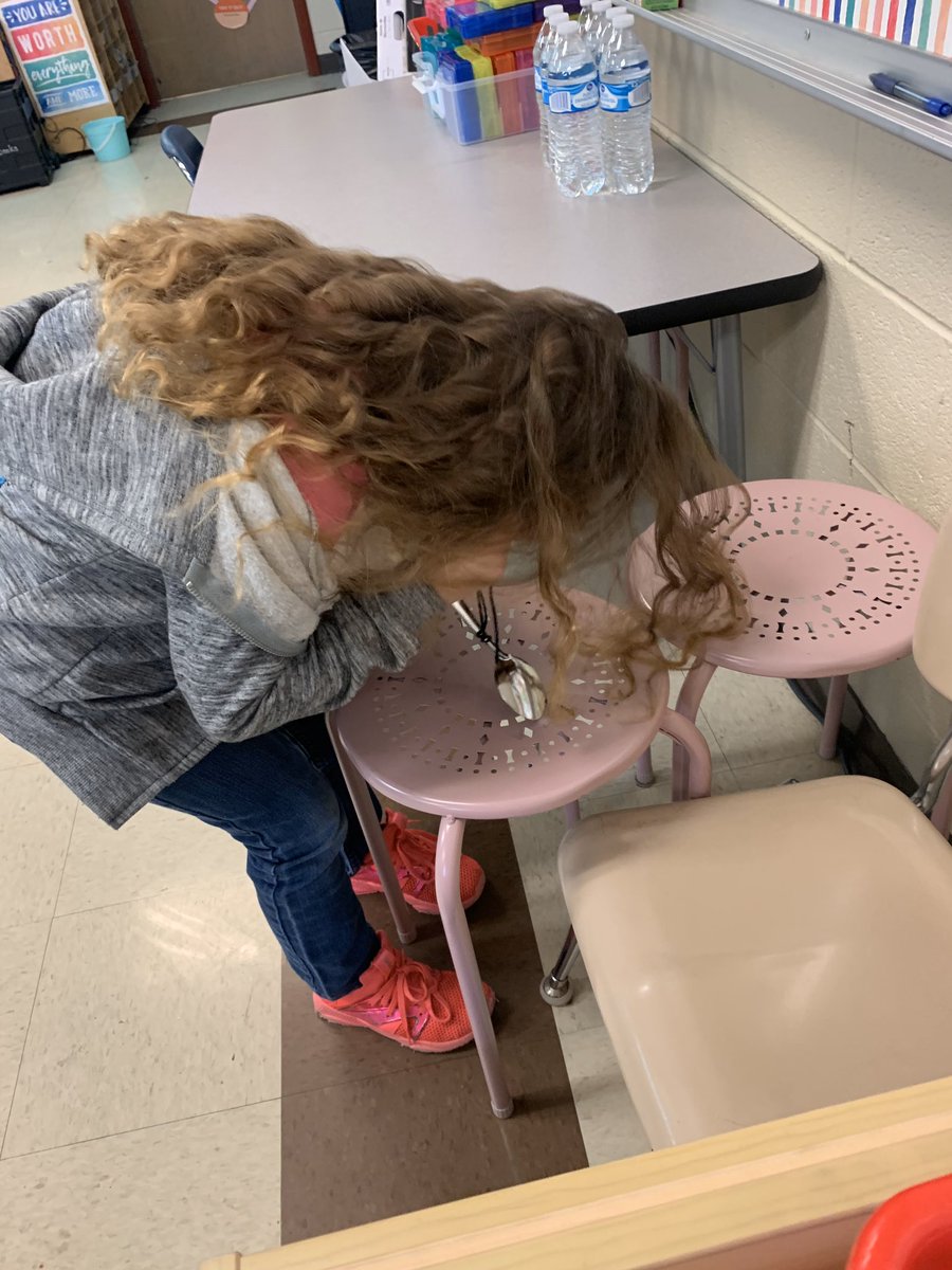 NorthfieldEle's tweet photo. Kindergarten students making sense of sound phenomenon through constructing explanations based on cause and effect relationships. They are looking forward to learning about Thomas Edison and his inventions!  #knighted #wherekidscomefirst https://t.co/UusBDz2wgg