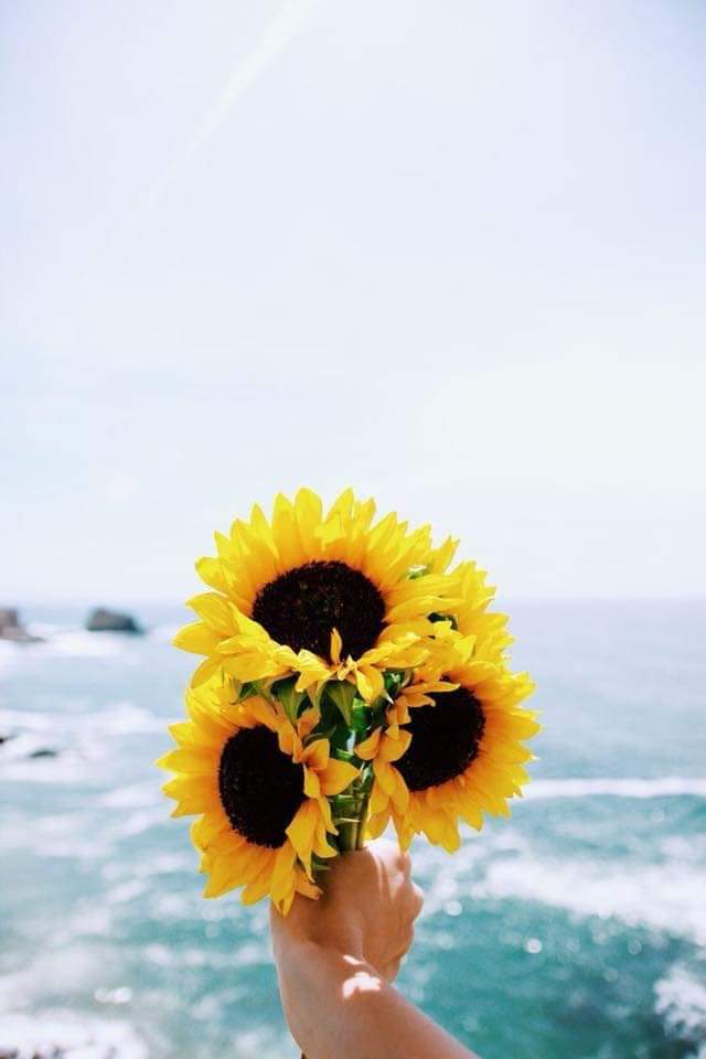 L A Y L A🐻🍓¦¦ft.เปงงอง tweet media