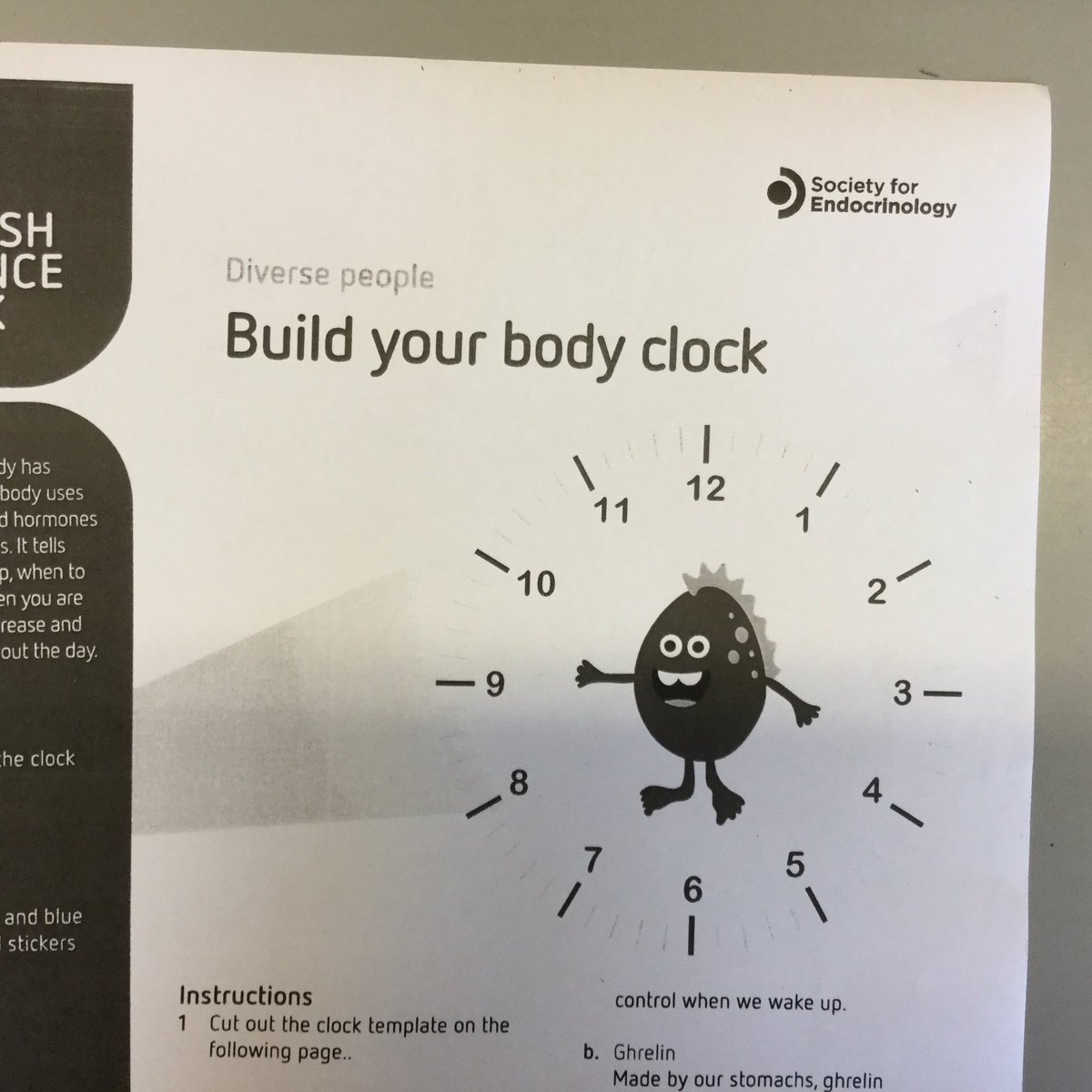 PPSMrsBeard2JB's tweet photo. For Science Week Year2 have been learning about their body clocks and how our hormones affect us.@PPSHealth_Well @PPSSciandTech @PPSMrNocivelli https://t.co/gVKQyTnCvg