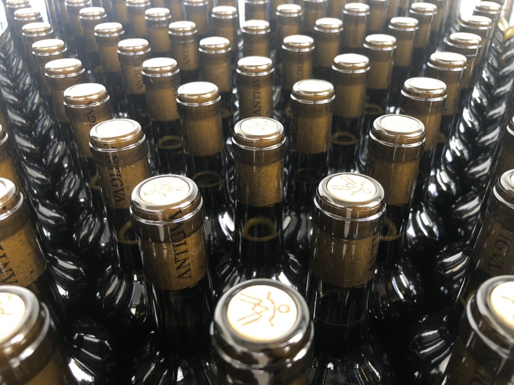 ANTIGVA's tweet photo. Per fi ha arribat el embotellat del nostre blanc fermentat natural, falles ja esteu ahi i els nostres clients contents per poder disfrutarlo. #ctrlaltdel #forcallatblanca #natural #airen #fermentedwine #10Marzo #thisislamancha #soyantigva https://t.co/IdIMMky1SG