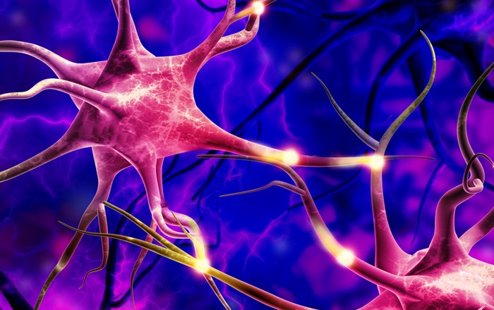 SwanseaUni's tweet photo. 🧠 Health records from over 80% of the Welsh population have been used to create the UK’s first national-scale health database for dementia research, which is housed at #SwanseaUni.

👉 https://t.co/NdsU1mO5lR https://t.co/yCI1apdqHu