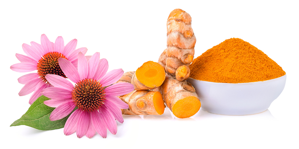 Lots of press about the safety of Echinacea &amp; Turmeric, very popular natural health products. ISURA authenticates raw material to confirm raw materials, then utilizes state-of-the-art analytical testing methods to check for  contaminants. For More: isura.ca/wp-content/upl…  #ISURA