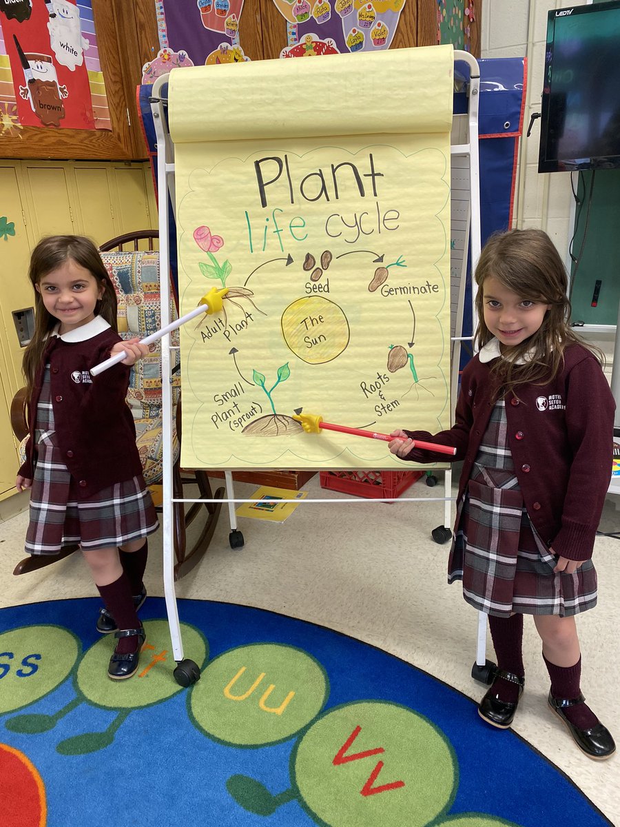 SetonMother's tweet photo. KA has been learning all about Living and Non-Living things...their characteristics, their needs and their LifeCycles. 
We planted Shamrocks and are starting our Butterfly unit. #Kacrew #journalingobservations #lifescience #HolyTrinity☘️ https://t.co/UcYN4gmRQd