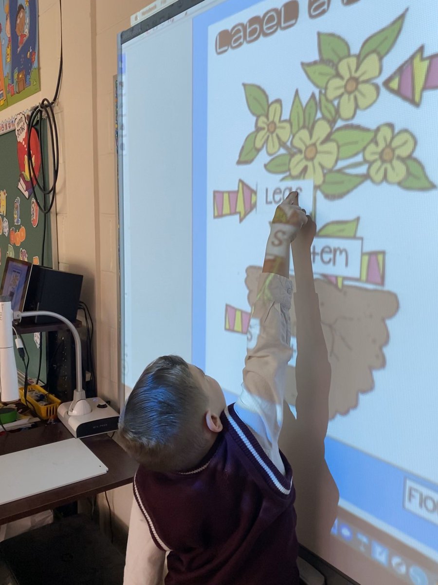 SetonMother's tweet photo. KA has been learning all about Living and Non-Living things...their characteristics, their needs and their LifeCycles. 
We planted Shamrocks and are starting our Butterfly unit. #Kacrew #journalingobservations #lifescience #HolyTrinity☘️ https://t.co/tV9xI9uWEi
