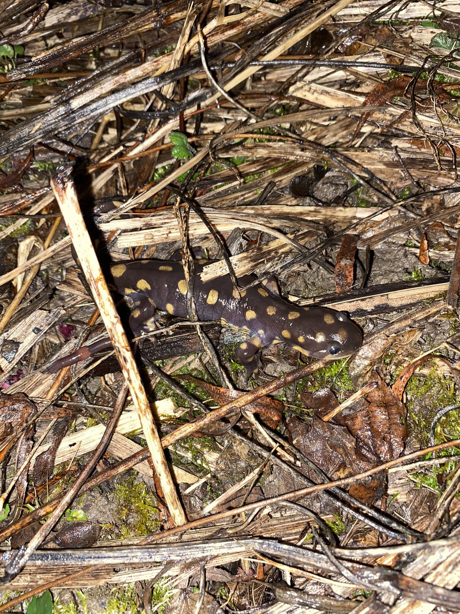 Andrew Mularo tweet media