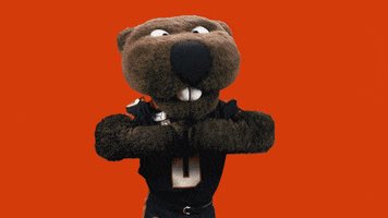 TevitaLose's tweet photo. #DamBeavs #DamCity #GoBeavs https://t.co/4YH7qoso6K
