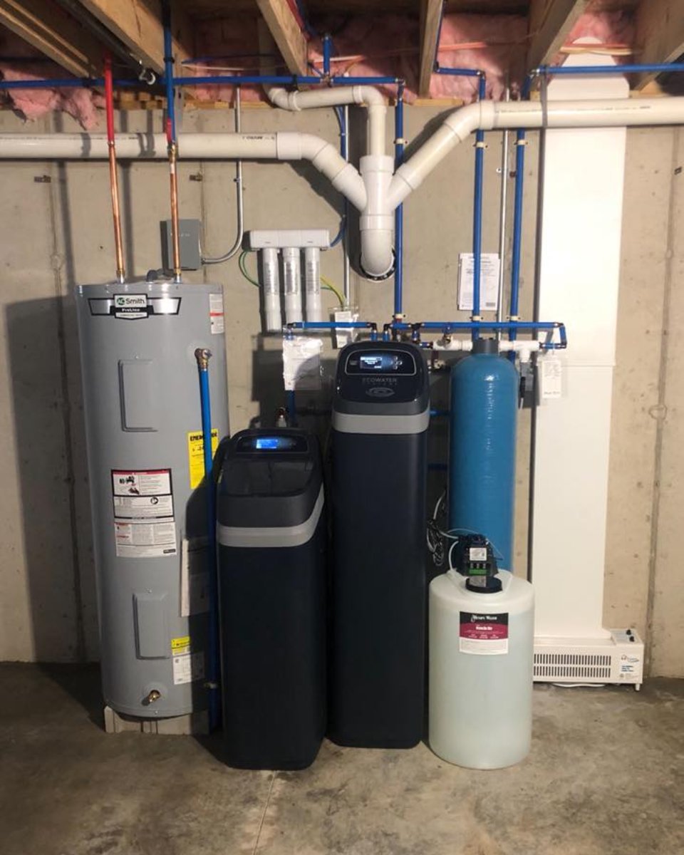 Hempy Water - Forest tweet media