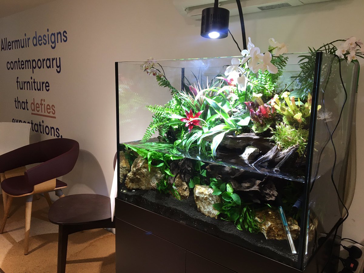 DesignJq's tweet image. Thank you to everyone who attended the LiFE Gallery last night - what a great night! 🐠

There are still a few spaces left on tomorrow’s Essential Oils workshop, please email rsvp@allermuir.com to sign up! 

We look forward to seeing everyone for a healthy breakfast tomorrow 😋🥑