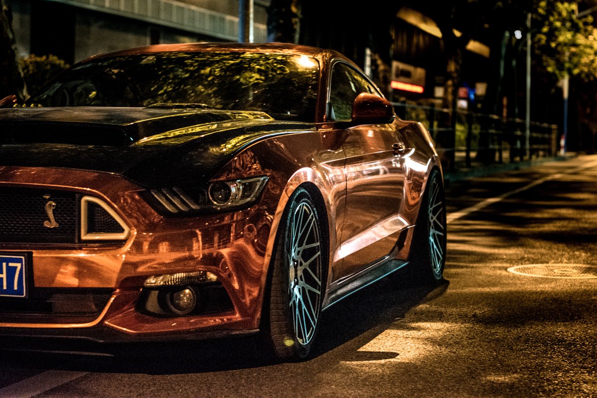 HouTXFord's tweet photo. #DeleteTheirPhoneNumberIf they're afraid to stand out. 😎🤘🏼🐍 #FordMustang #HOUTXFord #TuesdayThoughts https://t.co/gAJ7AtUvHJ