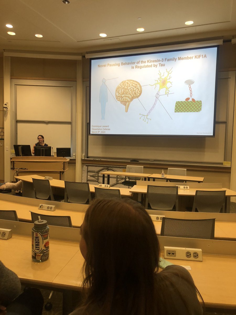 bergerlab_vt's tweet photo. Congratulations to our most recent graduate from the Berger Lab and introducing Dr. Dominique Lessard, PhD! @DVLessard has worked hard to publish and defend her novel findings and we can’t wait to see all the great things you’ll accomplish in the future! https://t.co/Ct6RJAXBtM