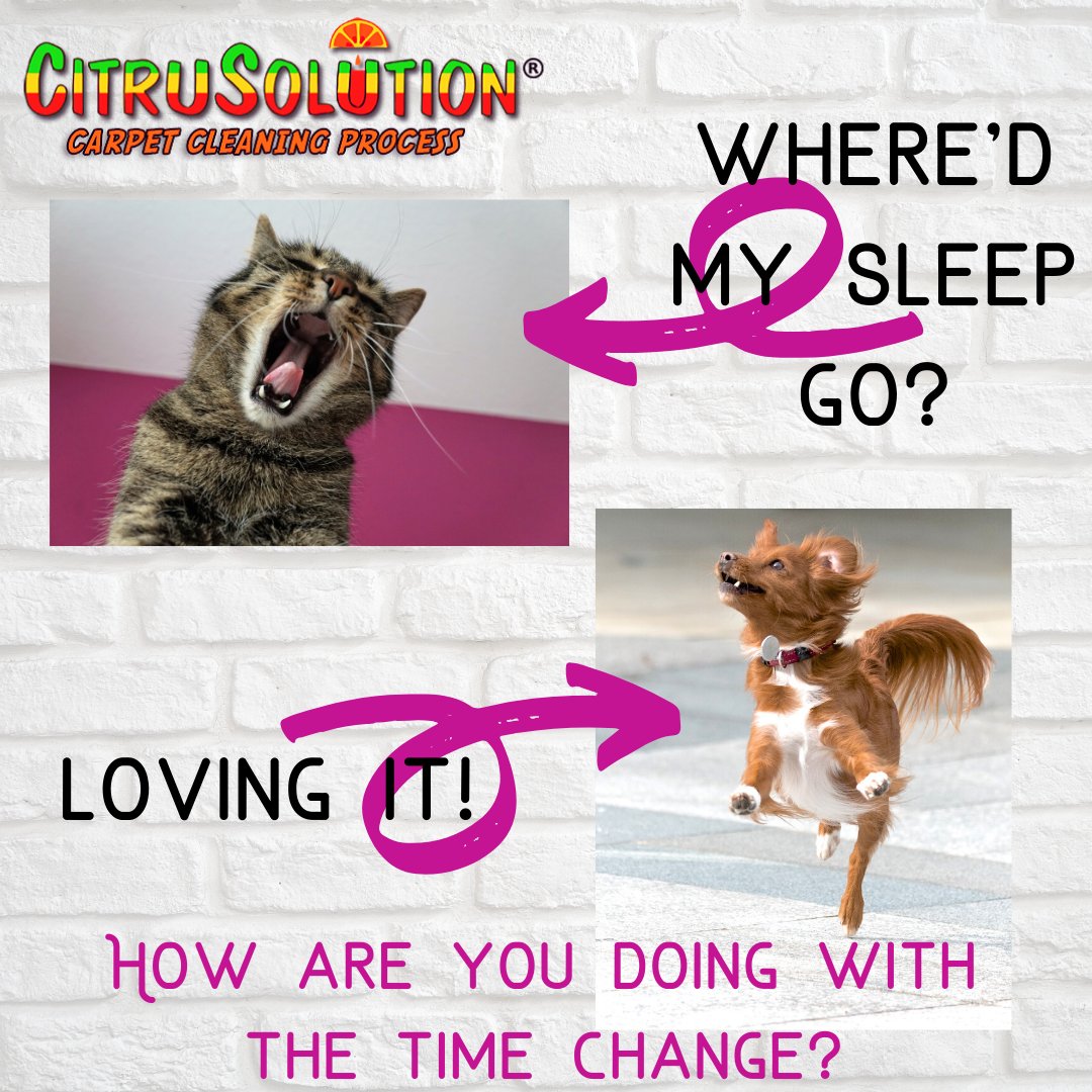 citrusolution1's tweet image. How are you adjusting to the time change? 

We are energized and ready to clean your carpet! Give us a call (912) 536-5336 to get on the schedule today! 🍊

 #citrusolutions #freshcarpet #cleancarpet #yourcarpetsolution