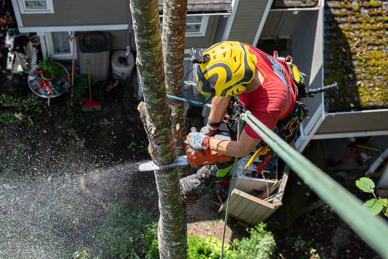 InTreeMedia's tweet image. Your growth, your creativity and your community - mailchi.mp/a032c2d6d902/y…