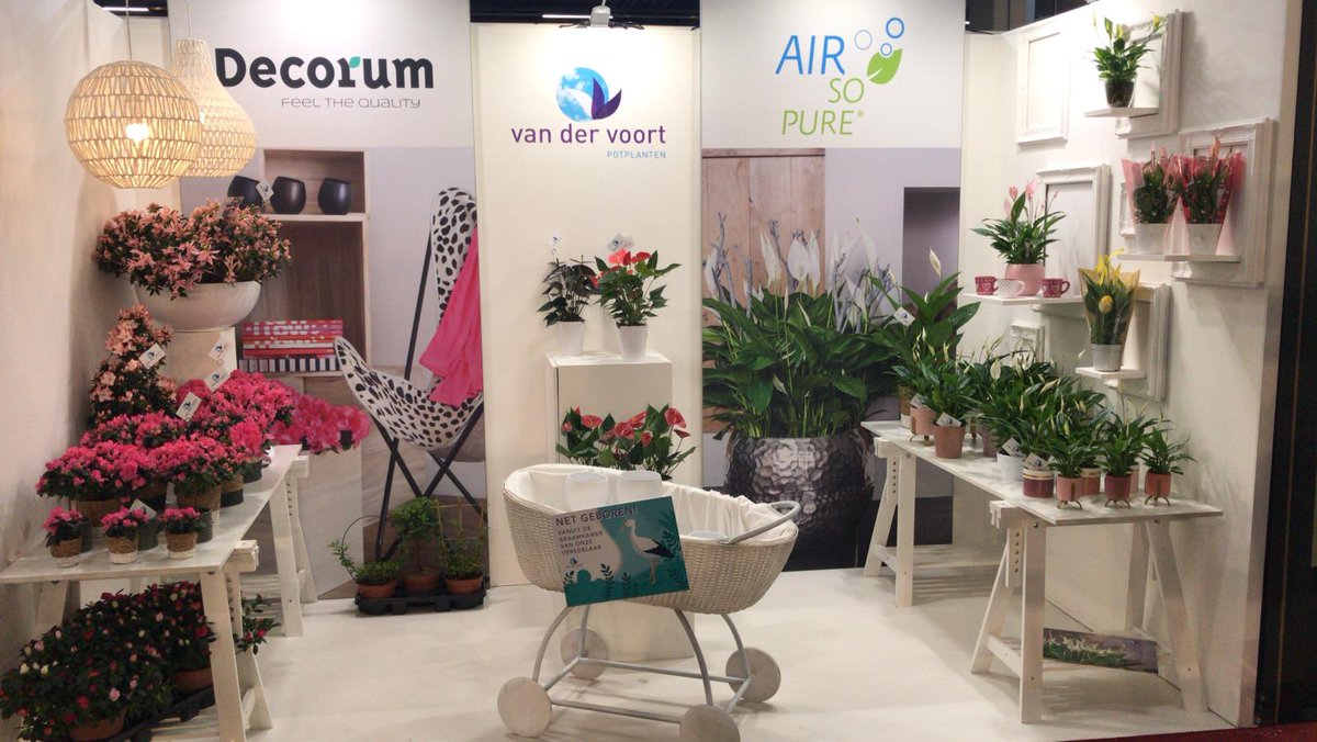 voortpotplanten's tweet photo. Vandaag onze stand opgebouwd! Zien we u morgen of donderdag? #Stand7.5 #TradeFair @RFHTradeFair https://t.co/Npm3qYPX0f