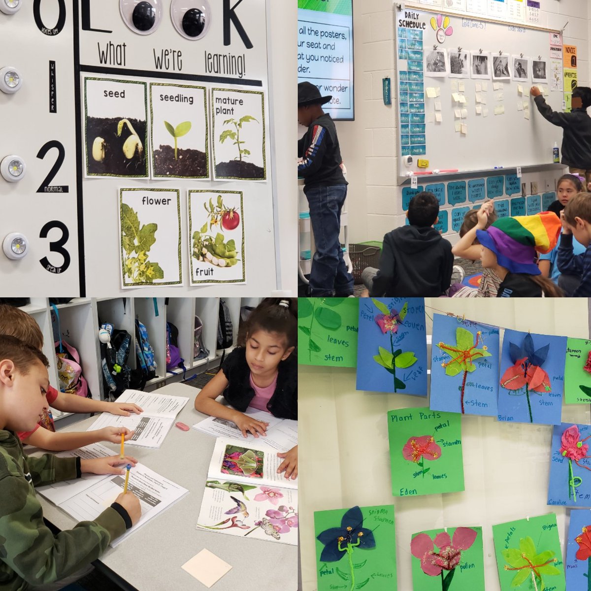 RichLearners's tweet photo. 2nd Grade students are learning about pollination in so many engaging ways through the EL curriculum. 🍎 @BryanRoadES @mrs_austin2nd @MissLong_2nd https://t.co/zCAwGMi7nN