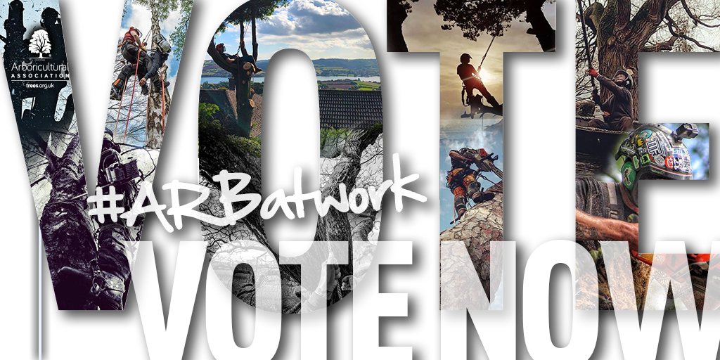 ArbAssociation's tweet photo. The #ARBatWork 2020 photo competition is now open for VOTING!
This year we received over 250 entries!
This is your chance to vote for your favourite photo and crown a winner!
Click the link below to VOTE NOW!
https://t.co/PPCPD7mNbW https://t.co/eQWq0cdsnk