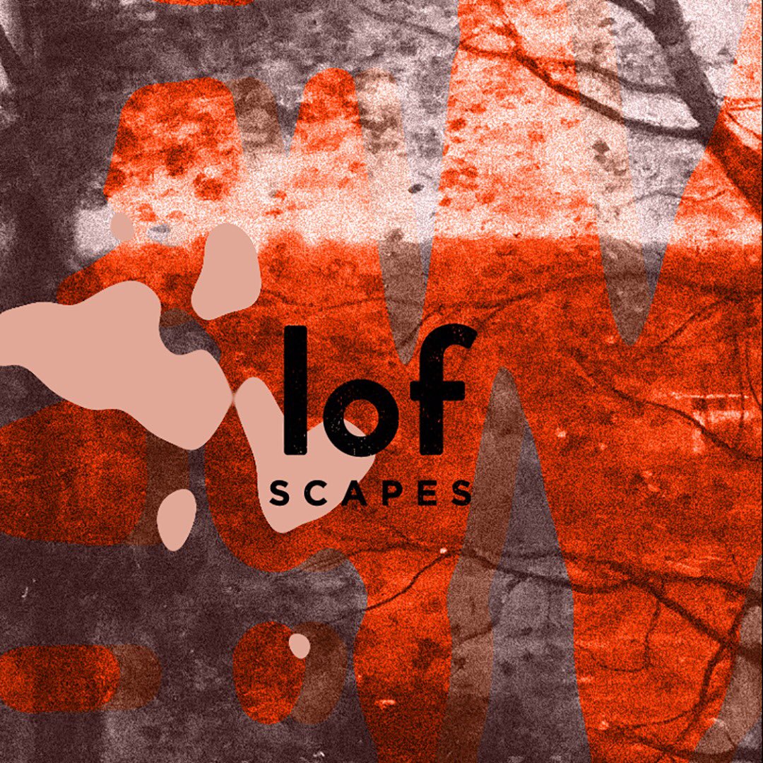 LOFscapes tweet media