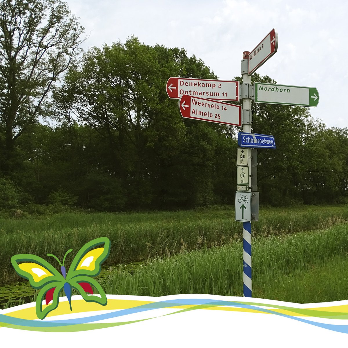 De Papillon tweet media