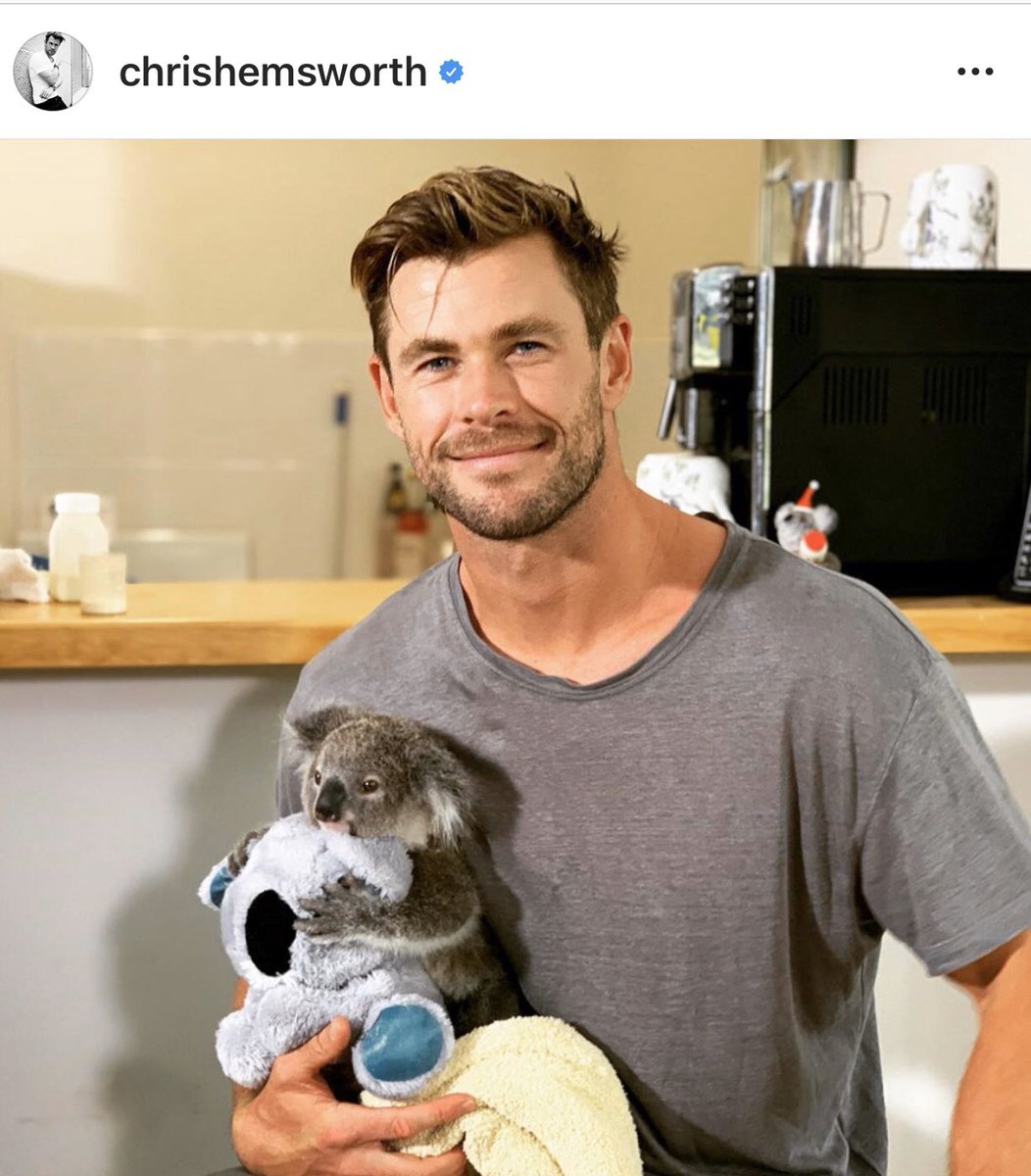 thatstarwarsgrl's tweet photo. Just when you think #Thor couldn’t get any hotter @chrishemsworth posts a pic of himself holding a wittle Koala and the Koala is holding a Koala plushie!!! Oh my heart!!😭🙌♥️ https://t.co/TQ5q7GhQ6H