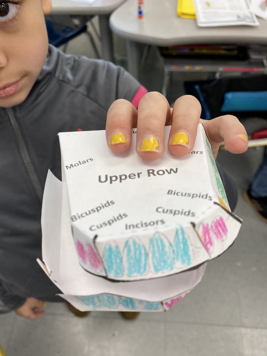 ajcal10PE's tweet photo. Catch up time with tweets 1/7. Third grade learning about their mouths with a tooth model. @SuperSuders #collsedu #collsphysed https://t.co/2bv40E3MAz