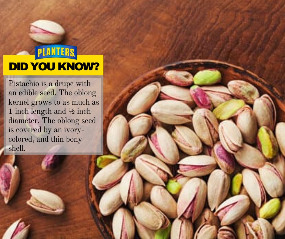 planterscanada's tweet photo. Did you know? ... Pistachio is a drupe with an edible seed. The oblong kernel grows to as much as 1-inch length and ½ inch diameter. The oblong seed is ...
#TuesdayFunfacts #Pistachios #Pistachiolovers #Allaboutnuts #PlantersNuts #PlantersPistachio #PlantersSnacks #PlantersCanada https://t.co/kHDU98nShe