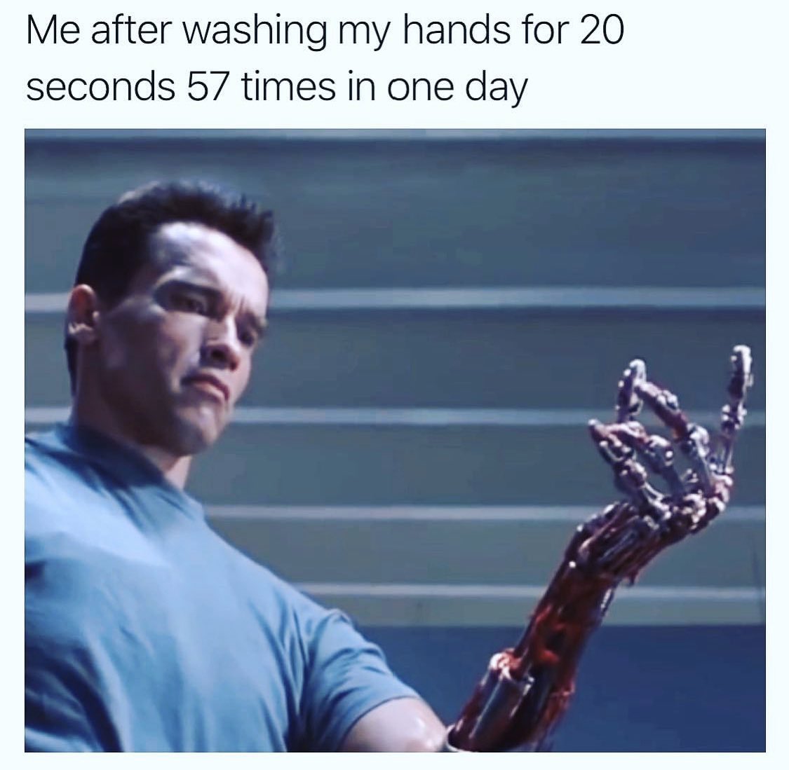 HamTheModel's tweet image. 🧼