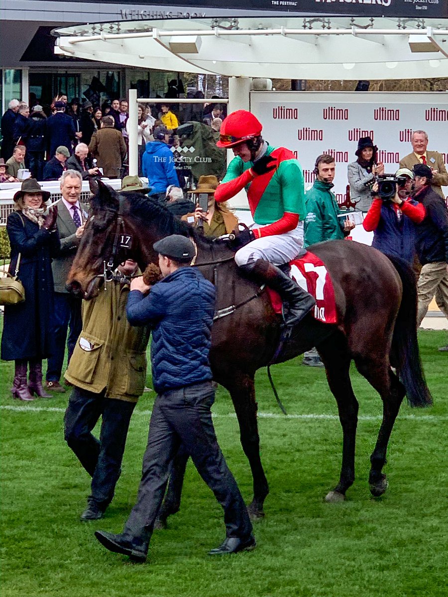 andyjwest78's tweet photo. The Conditional winner of the @UltimaBusiness Handicap Chase @CheltenhamRaces Trained by David Bridgewater ridden by Brendan Powell @RacingPost @RacingTV #theconditional #cheltenham2020 #CheltenhamFestival2020 https://t.co/L2Ud41Ej6d