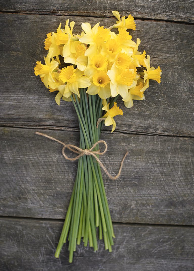 Homegrown bunches of daffodils now on sale - it’s starting to finally feel like spring 🌼 🌼#spring #colour #daffodils #flowers #pretty #homegrown