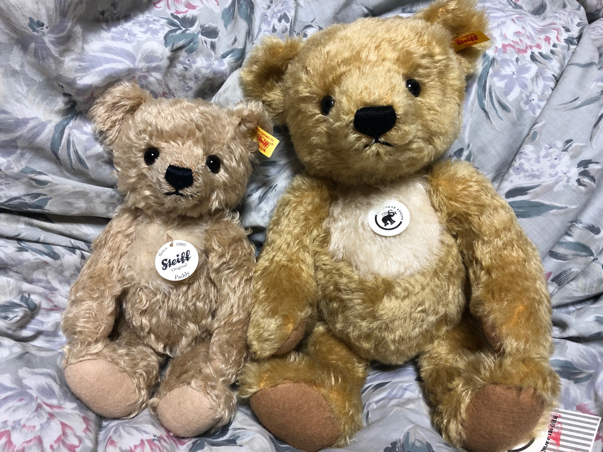 シュタイフ パディ