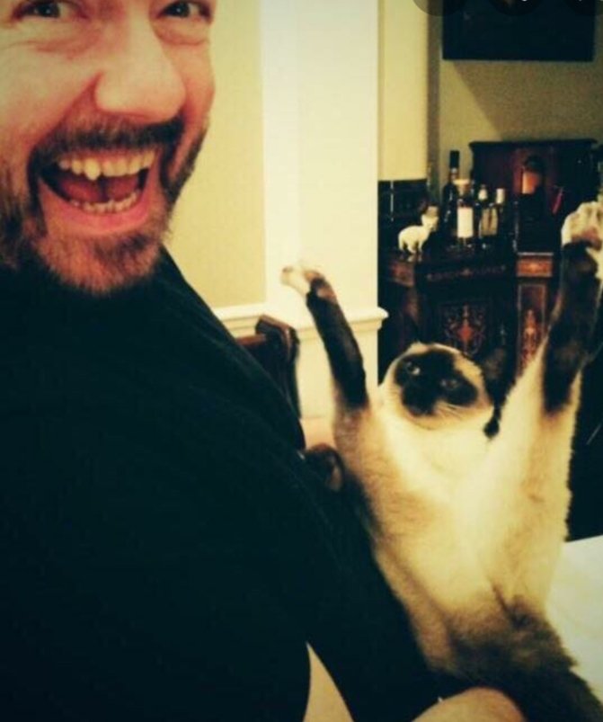 Ricky Gervais Jonathan Ross Cat