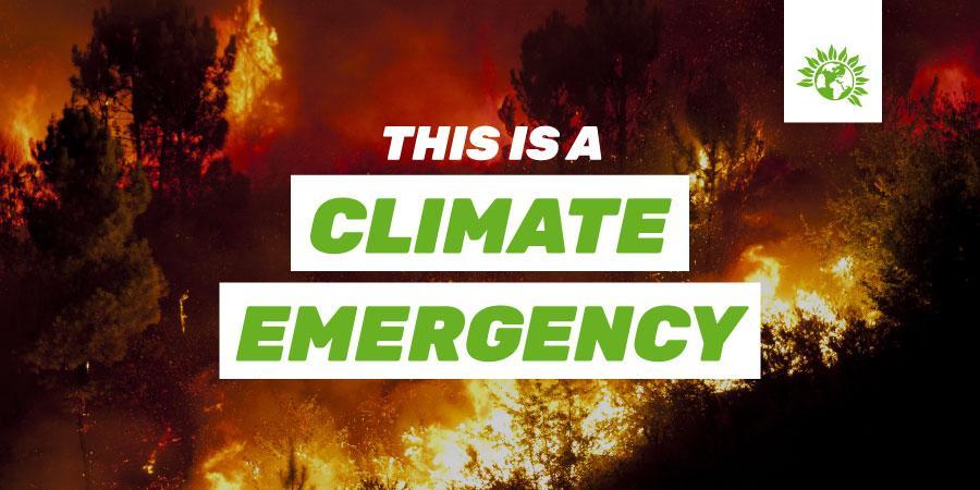 #Budget2020 must invest in a plan to create thousands of jobs and protect the environment.

It's time to fund the #GreenNewDeal! ⏳🌱