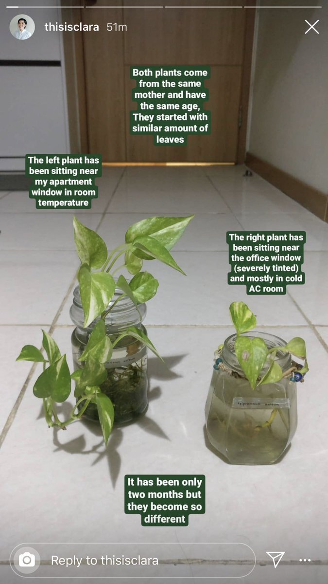 dittameliaa's tweet photo. Dari story temanku 

About how environment can change you

https://t.co/CFqveLInY2 https://t.co/xY2QiNFDvM