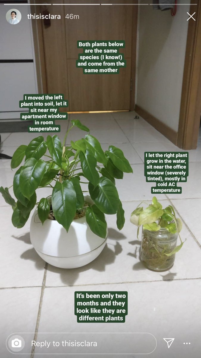 dittameliaa's tweet photo. Dari story temanku 

About how environment can change you

https://t.co/CFqveLInY2 https://t.co/xY2QiNFDvM