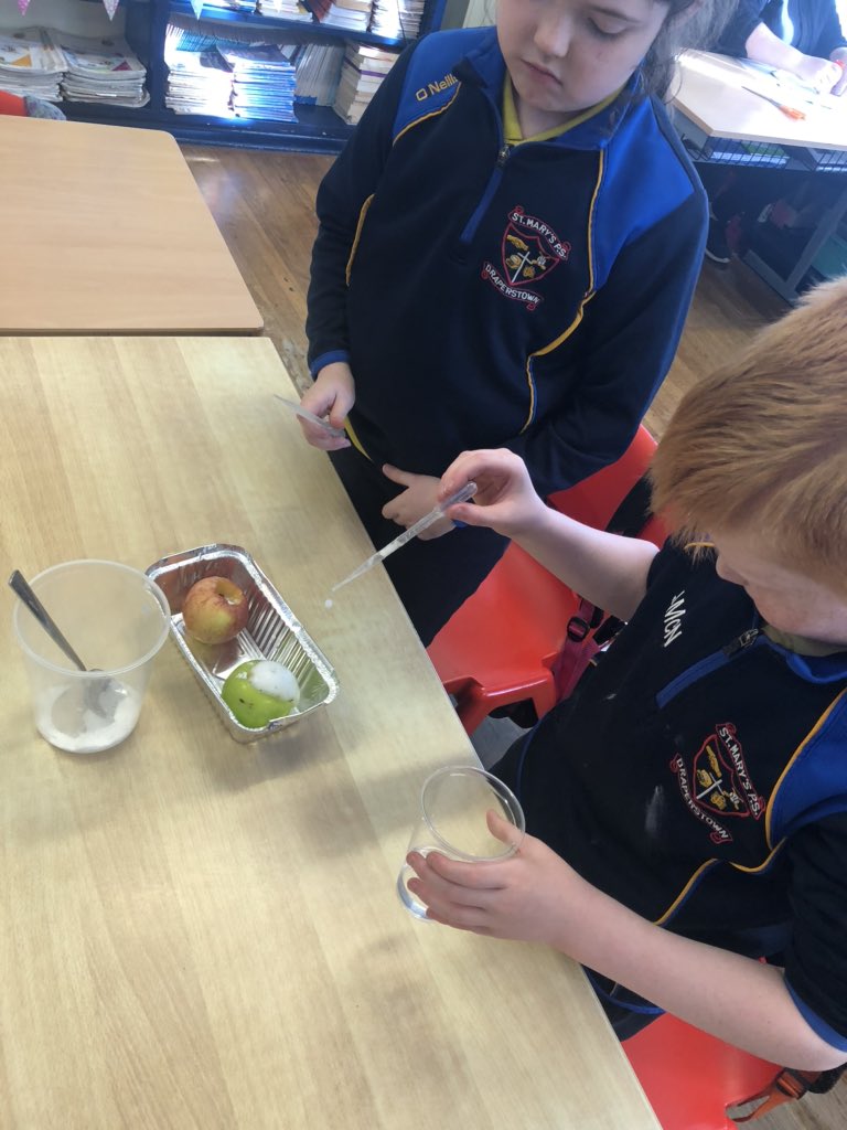 StMarysBscreen's tweet photo. Miss McCloskey’s P4 class have been learning about reactions for #ScienceWeek 🧪🧫 Today they added baking soda and vinegar to two different apples to create a reaction. Their hypothesis’ were correct- the green apple fizzed up more as it had more acid. @pstt_whyhow #AppleVolcano https://t.co/x4KMOLQSqy