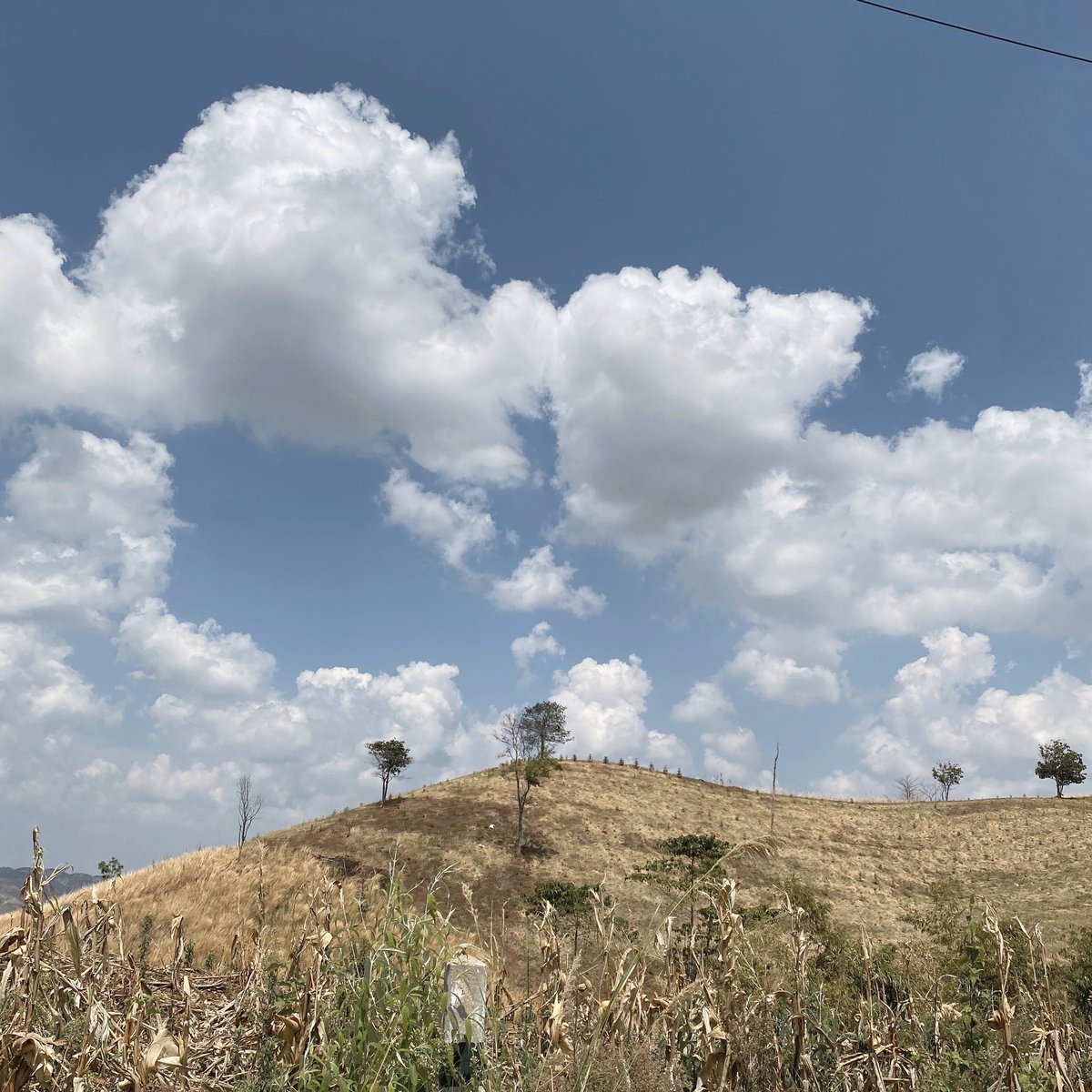 𝙪𝙣𝙪𝙣𝙛𝙖𝙝🥯 tweet media
