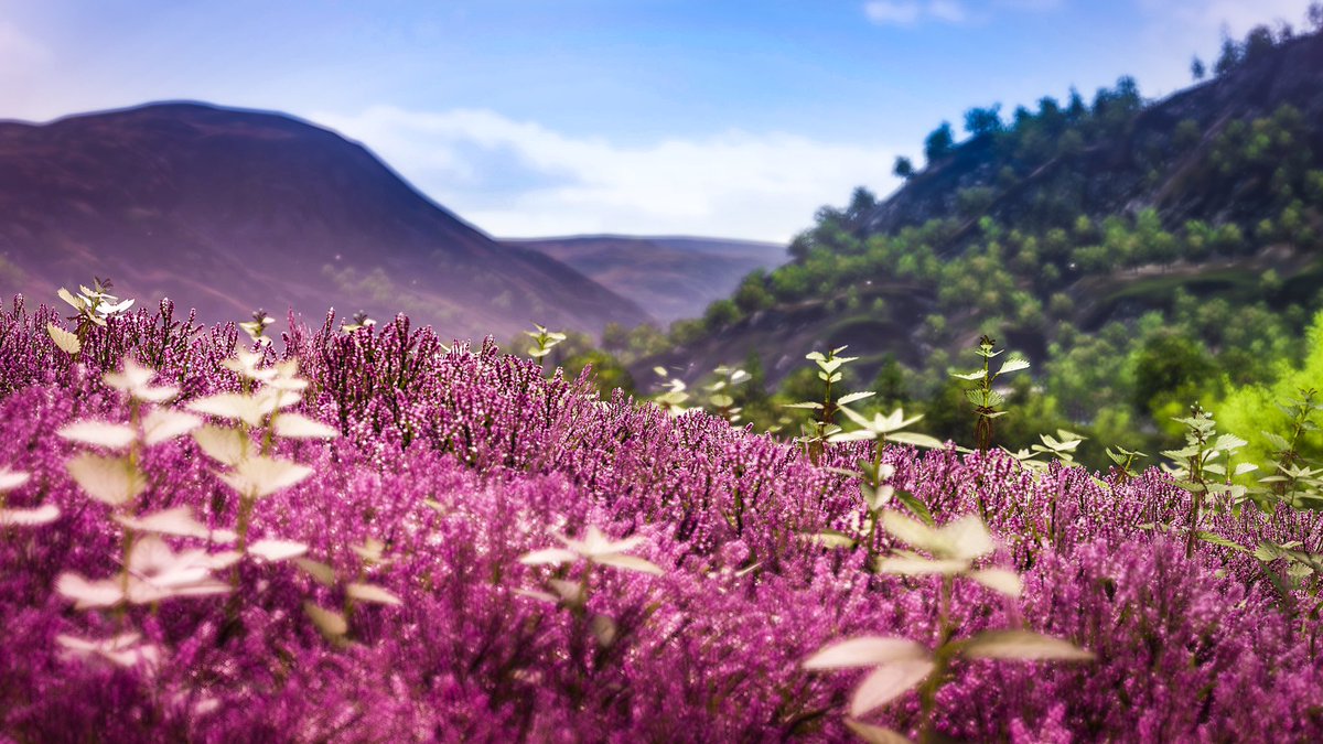 desperado9009's tweet photo. Saw @RealBajnes using the #forzaworld hashtag earlier and thought that’s a great tag to showcase #forzahorizon4 and how much more it has to offer #virtualphotography.  #forzashare https://t.co/oqMxQhLLLy