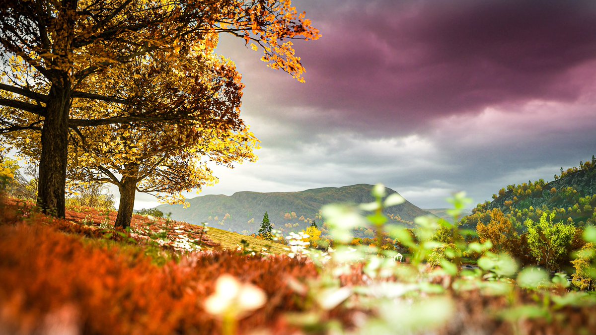 desperado9009's tweet photo. Saw @RealBajnes using the #forzaworld hashtag earlier and thought that’s a great tag to showcase #forzahorizon4 and how much more it has to offer #virtualphotography.  #forzashare https://t.co/oqMxQhLLLy