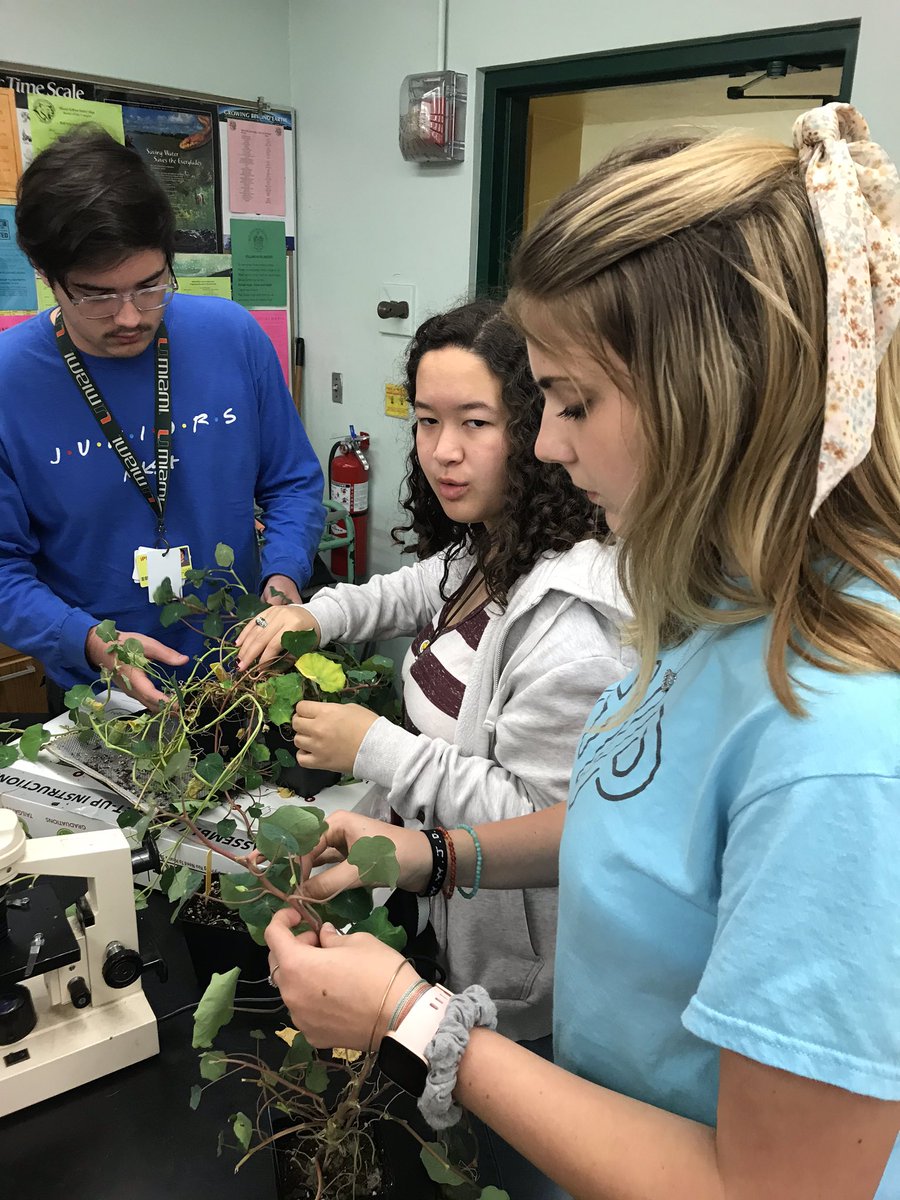 killianfc's tweet photo. @killianfc @FairchdChallnge @GrowBeyondEarth GBE Team preparing to mass total vs edible. Counting axial buds on plants. https://t.co/an4a67Symh
