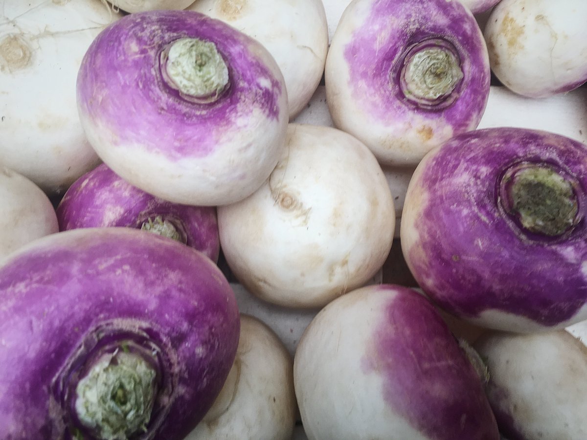 RealFoodBox's tweet image. Tasty turnips in our #vegbags this week! These sweet baby veg are delicous roasted whole with garlic &amp;amp; thyme. Try them in a gratin with blue cheese and cream. They also work well in asian dishes... think pad thai, red curry or sesame miso noodles...yum!

#eatseasonal #vegbag