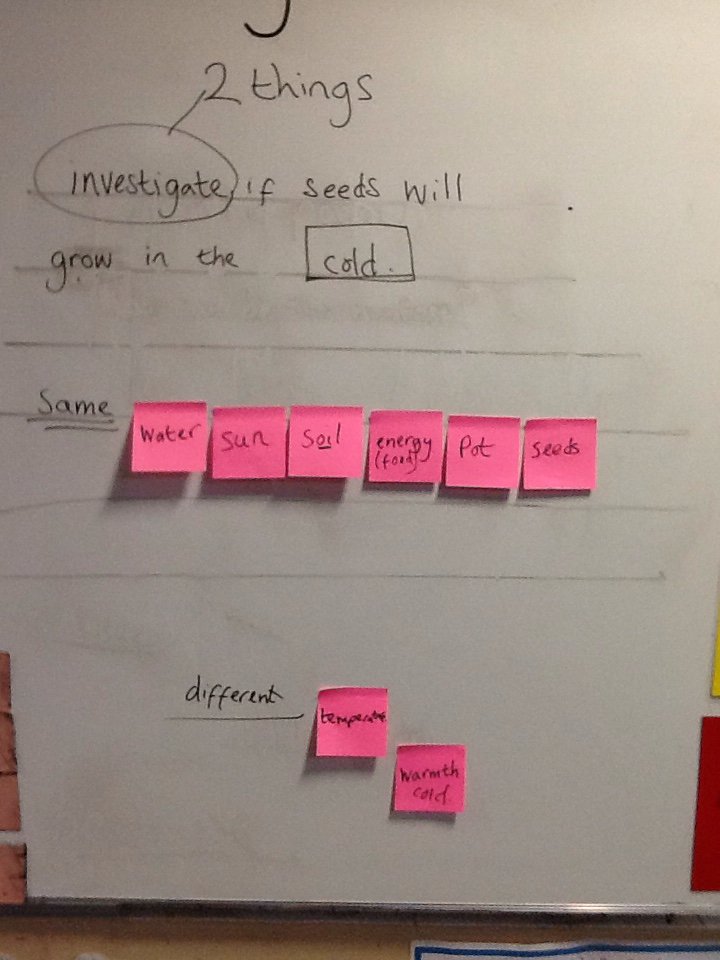 EndikeYear1's tweet photo. Next we investigated why trees don't grow in Antartica and planned a fair test.  Finally we made a prediction about the seeds in the freezer. @EndikePrimary #endikescience https://t.co/E7jxd0C9ZW