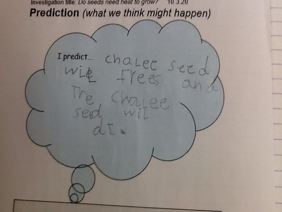 EndikeYear1's tweet photo. Next we investigated why trees don't grow in Antartica and planned a fair test.  Finally we made a prediction about the seeds in the freezer. @EndikePrimary #endikescience https://t.co/E7jxd0C9ZW