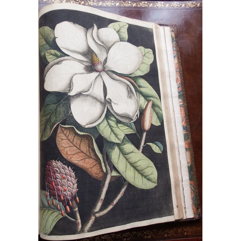 AraderGalleries tweet media