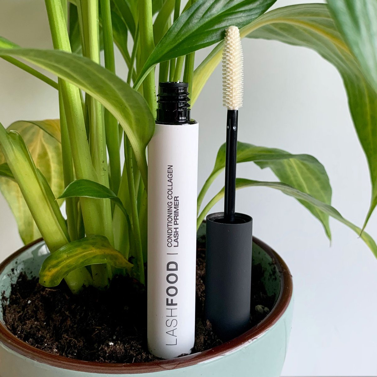 LD Beauty tweet media