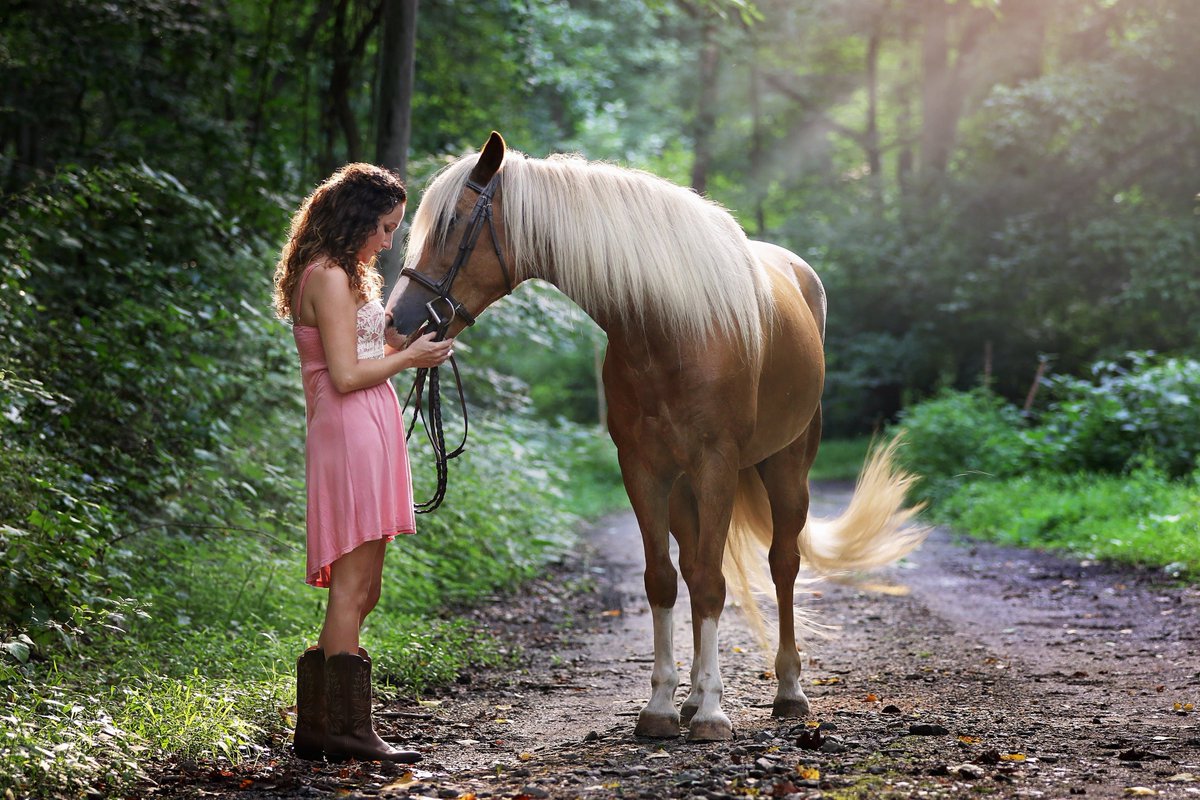 SoleFlops's tweet photo. This weather is making me want to go for a long trial ride! Share this tweet with an equestrian lover.

#horses #horsebackriding #love https://t.co/kpDut8ppSo