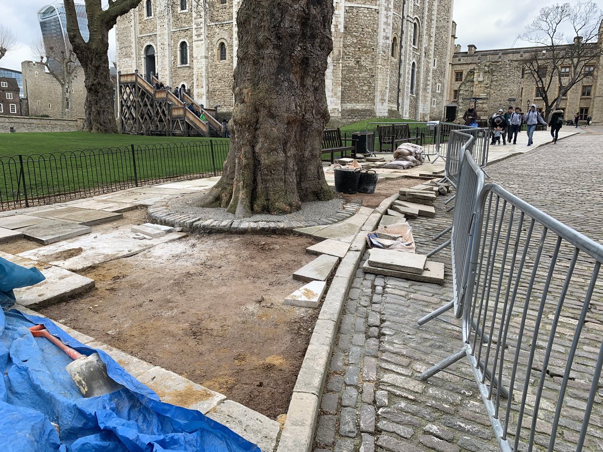 HRP Surveyors (@hrp_surveyors) on Twitter photo The <a href="/TowerOfLondon/">The Tower of London</a> Maintenance Team gets on top of paving repairs before this year’s summer season The <a href="/TowerOfLondon/">The Tower of London</a> Maintenance Team gets on top of paving repairs before this year’s summer season