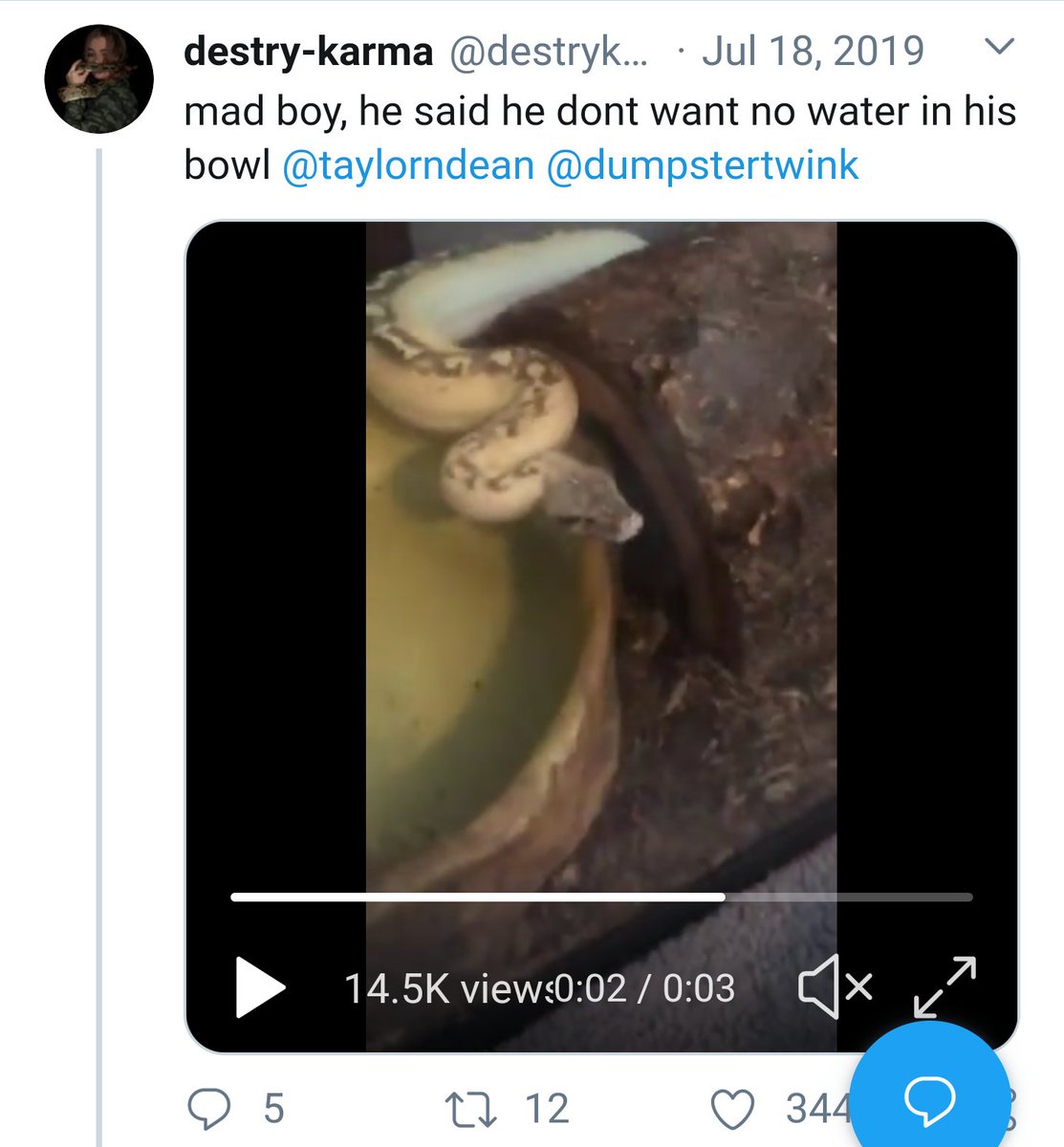 clementinehazel's tweet photo. Liar liar. 

Destry got the blood python from your mom on July 18, 2019. But here you are flashing him on twitter July 11, 2019. 

I must be old and stupid, but last I checked 6 days isn't the same as 48 hours?

Care to explain?

 #TaylorNicoleDean @taylorndean https://t.co/bHUqDz6XVC