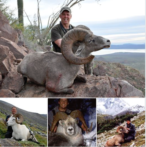 It's been a 32-year journey to take my Four North American Wild Sheep but oh so worth it. <a href="/TeamHornady/">Hornady</a> <a href="/sakocanada/">SAKO CANADA</a> #lowahunting #zeisshunting #stoneycreek