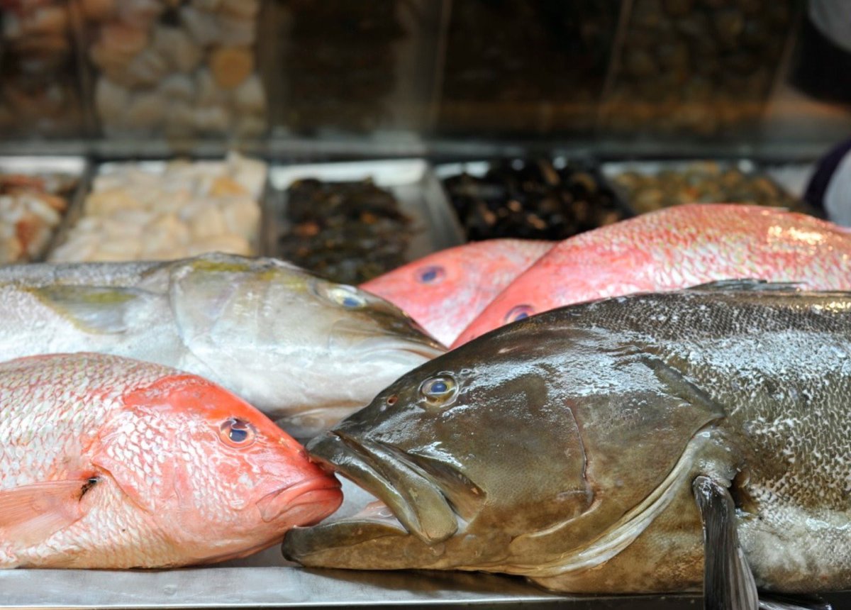 FlaglerFishCo's tweet photo. The Flagler Fish Company brings you only the freshest and finest fish and seafood available. Come in and pick up a couple of grouper or flounder filets to cook at your house today! https://t.co/DfqmLwizDa